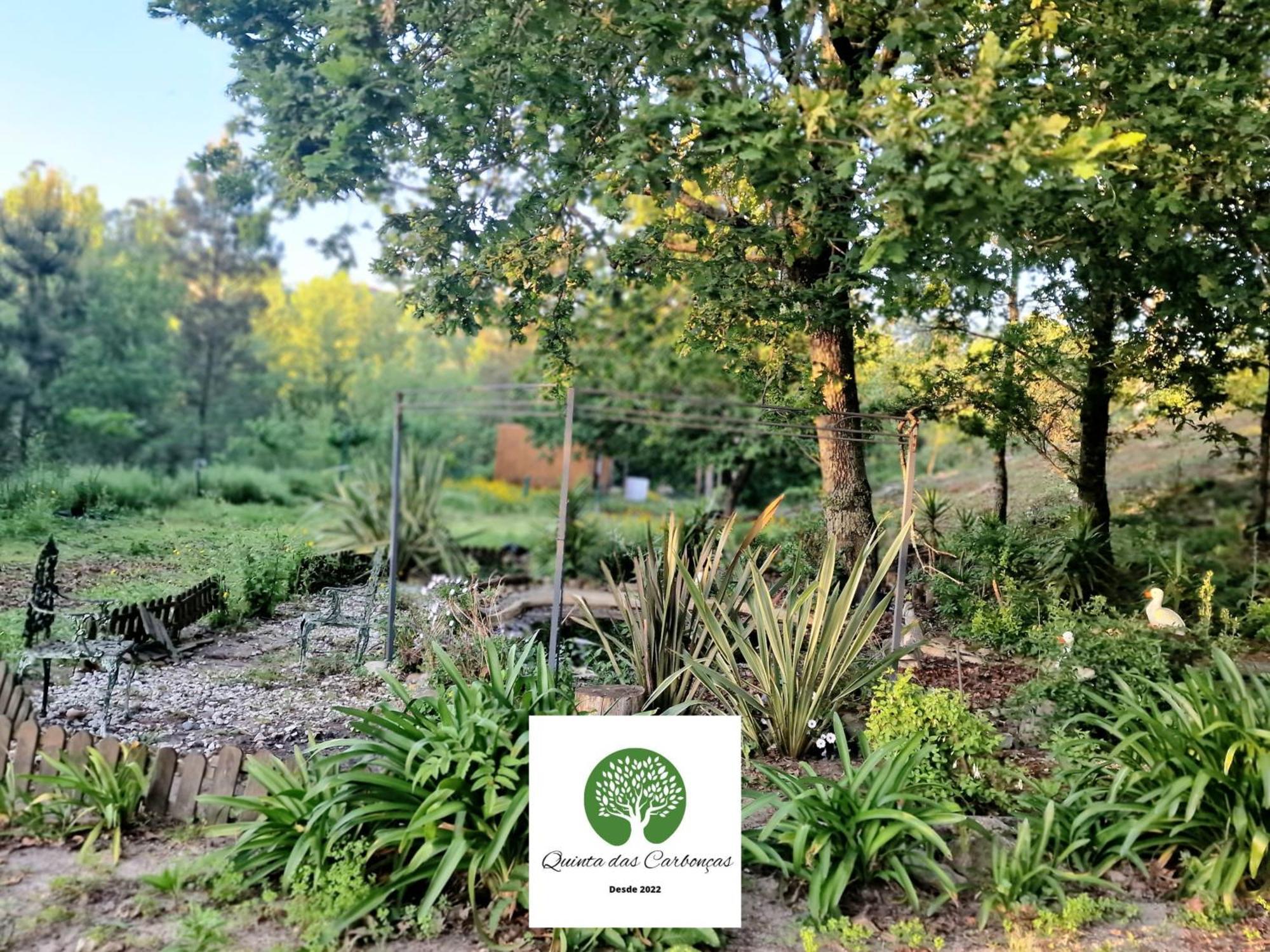 Quinta Carboncas